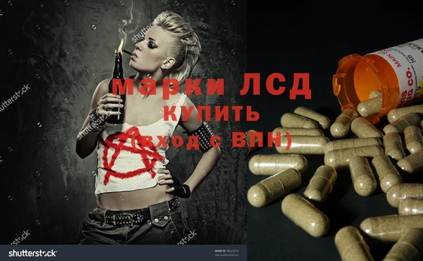 ГАЛЛЮЦИНОГЕННЫЕ ГРИБЫ Аркадак