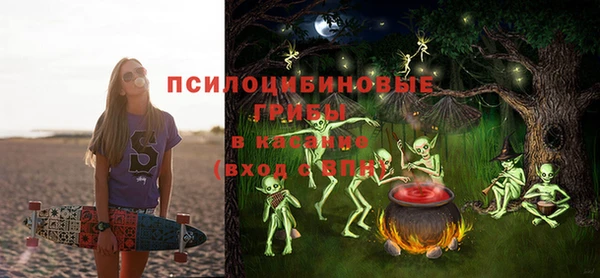 ГАЛЛЮЦИНОГЕННЫЕ ГРИБЫ Аркадак