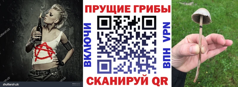 купить наркотик  Нефтегорск  Галлюциногенные грибы Magic Shrooms 